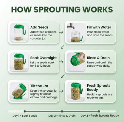Multi Use Sprouts Maker Jar 720 ML